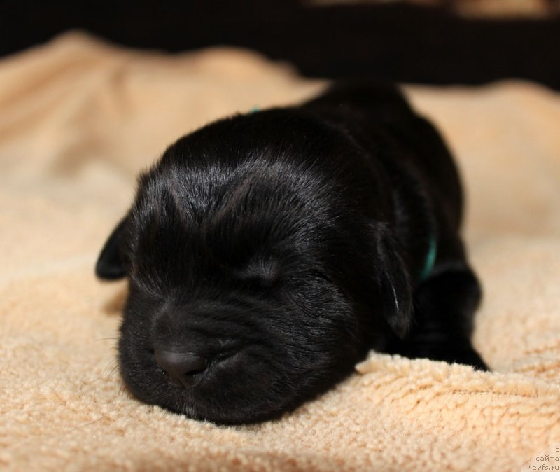 Фотография № 220533