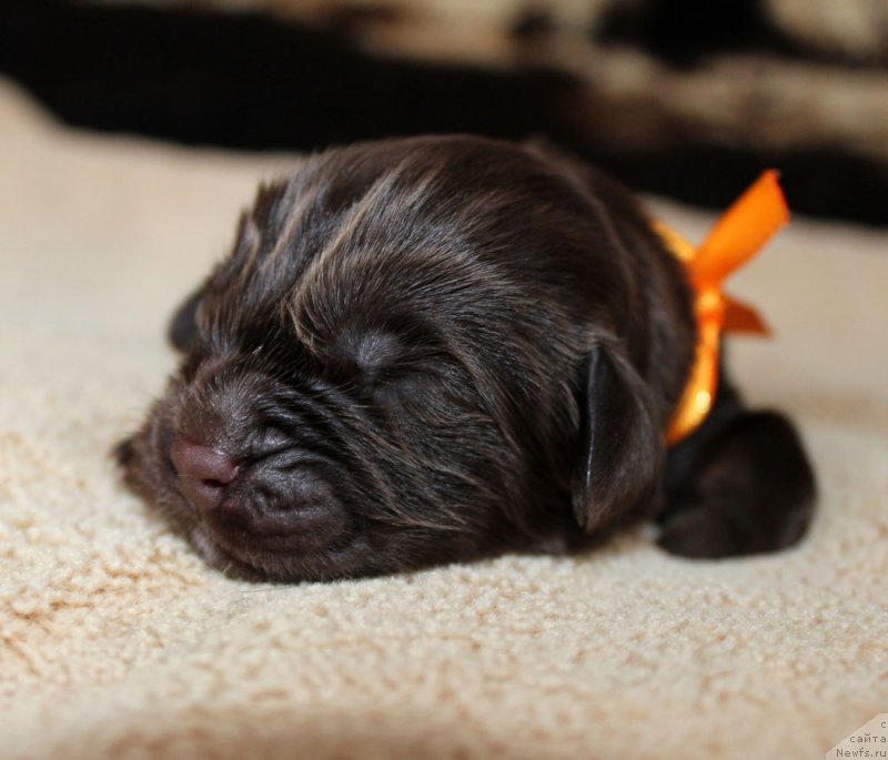 Фотография № 220541