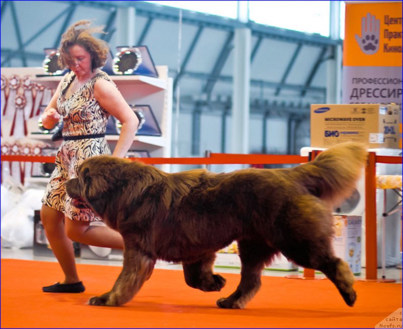 Фото: Лена Зырина