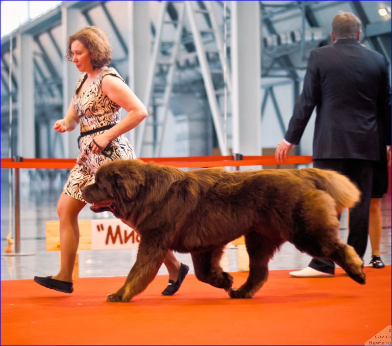 Фотография № 220555