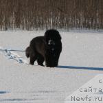 Фотография № 220557