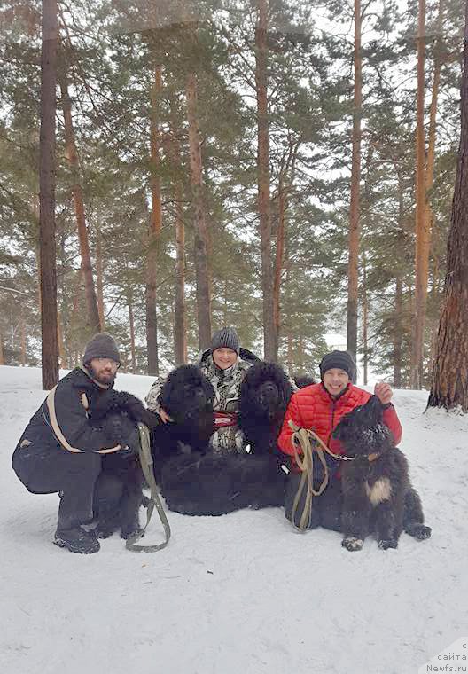 Фотография № 220561