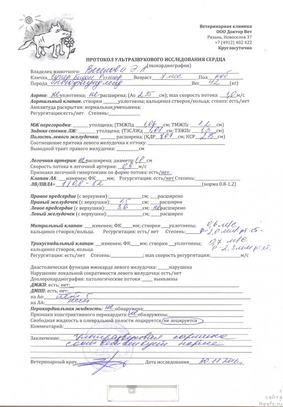 Фото: ньюфаундленд Супер Бизон Ришар