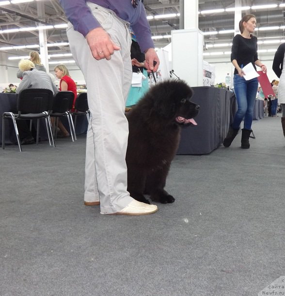 Фотография № 220566