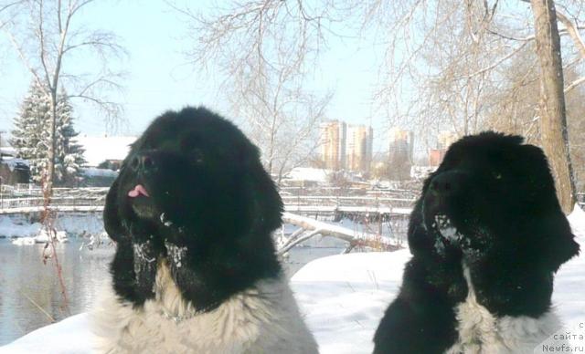 Фотография № 22057