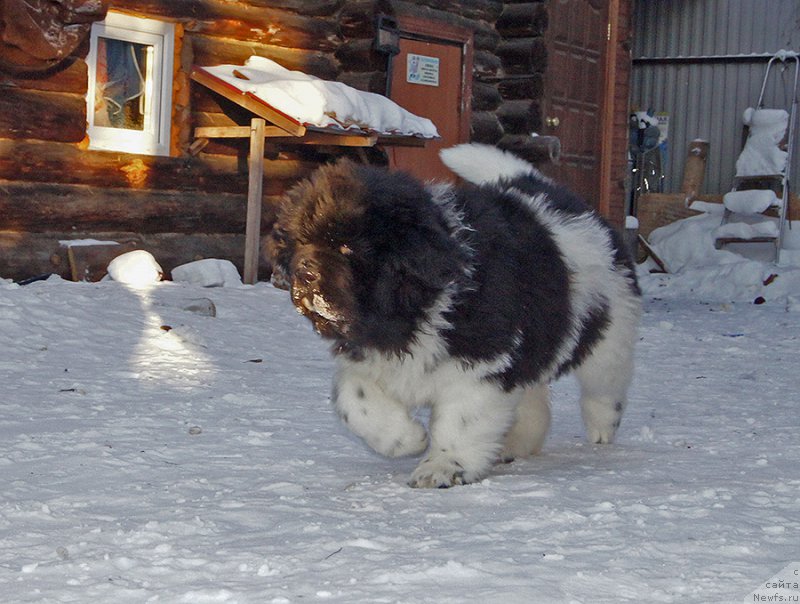 Фотография № 220572