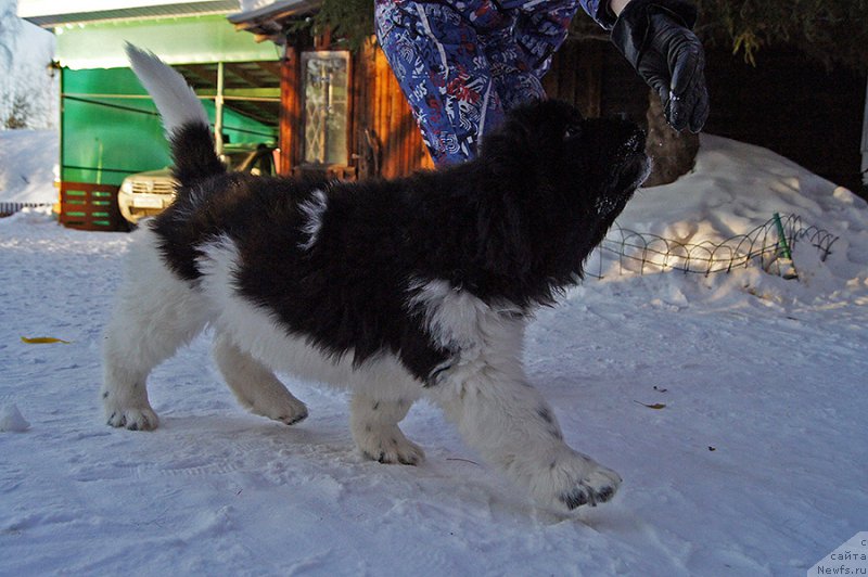 Фотография № 220573