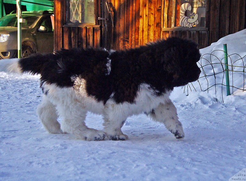 Фотография № 220576