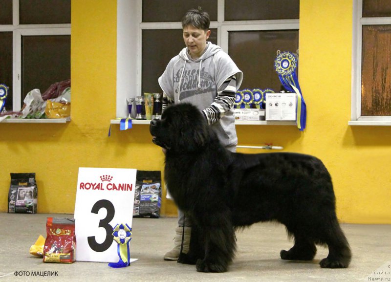 Фото: ньюфаундленд Бридж Овер Траблд Ривер (Bridge Over Troubled River)