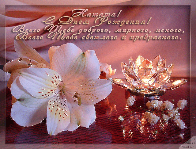 Фотография № 220596