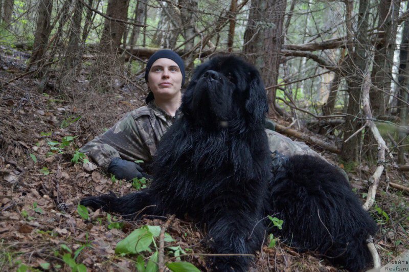 Фотография № 220597