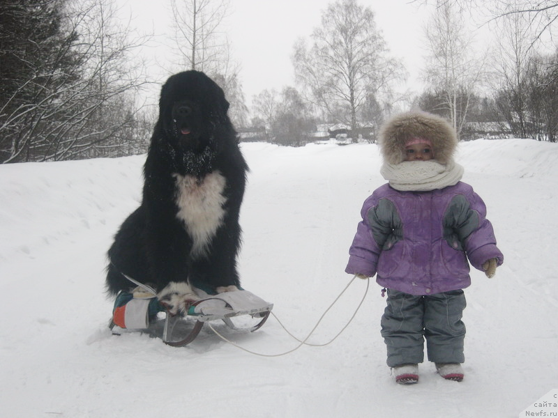 Фотография № 220598