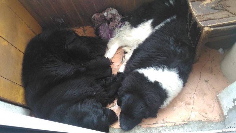 Фотография № 220599