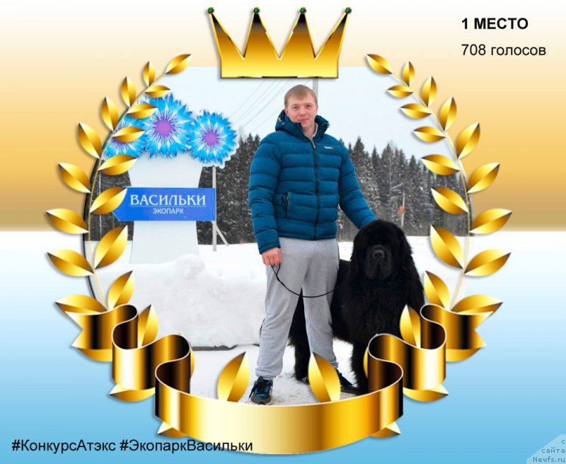 Фото: ньюфаундленд Назар Вятский Медведь (Nazar Vyatskiy Medved), и Иван.