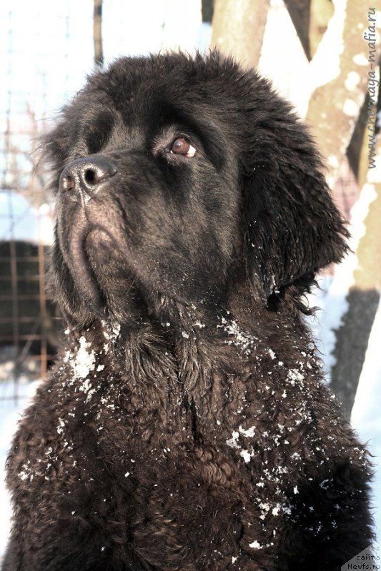 Фотография № 220624