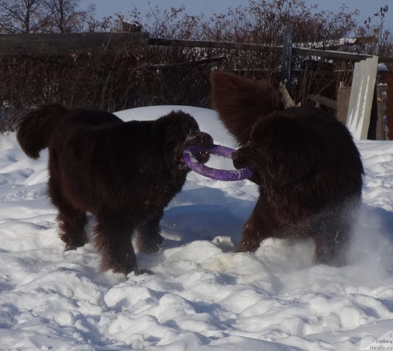 Фотография № 220643