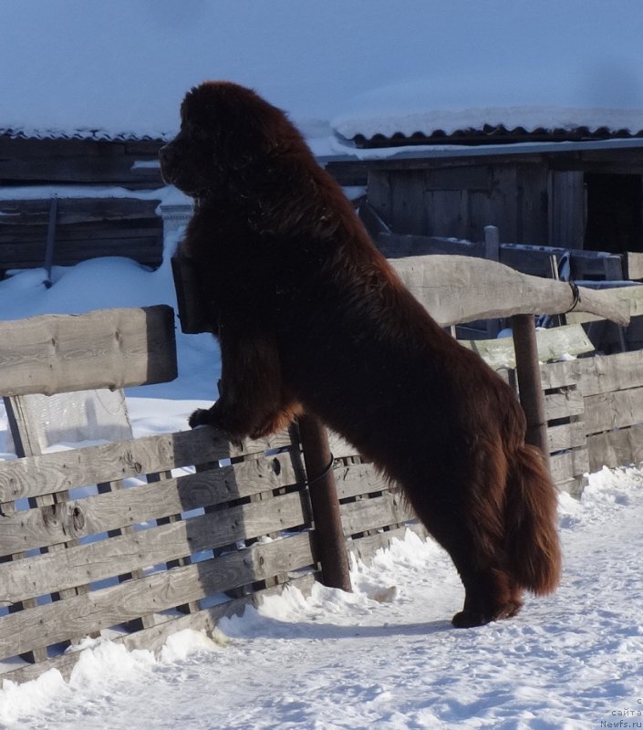 Фотография № 220645