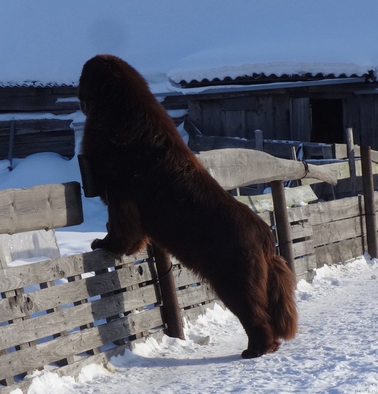 Фотография № 220646