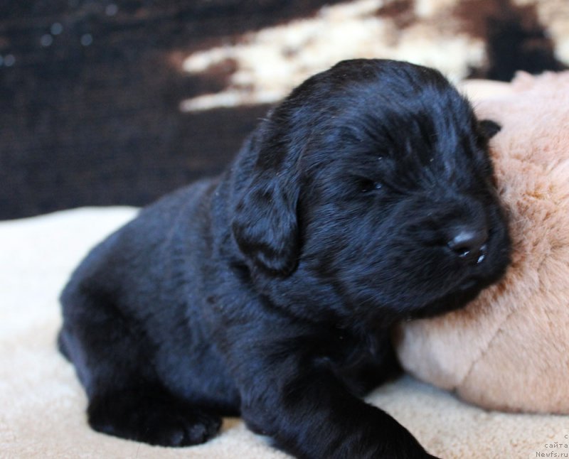 Фотография № 220672