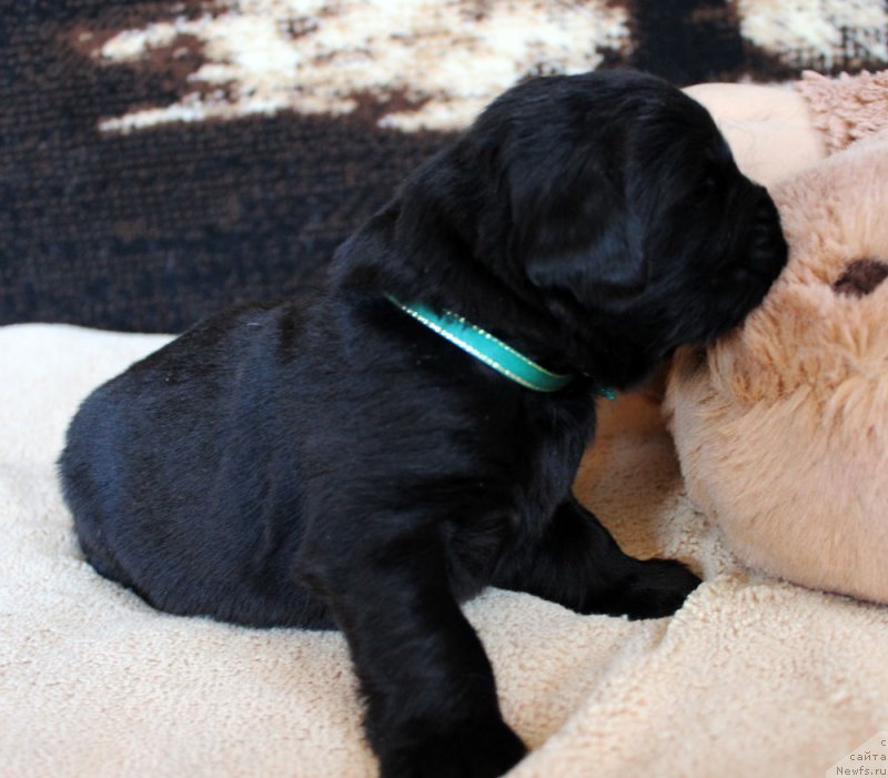 Фотография № 220673