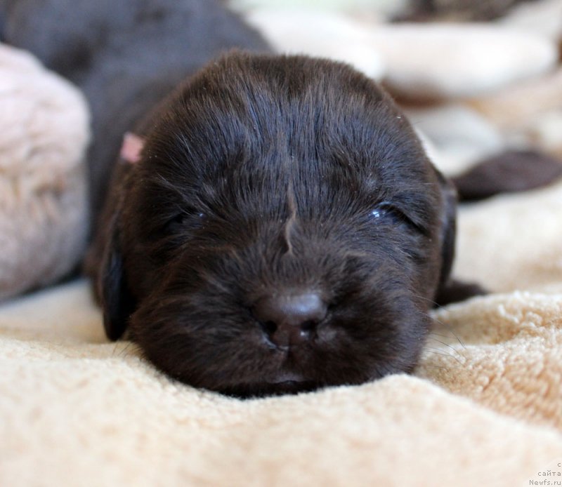 Фотография № 220677