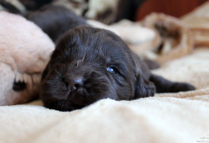 Фотография № 220678