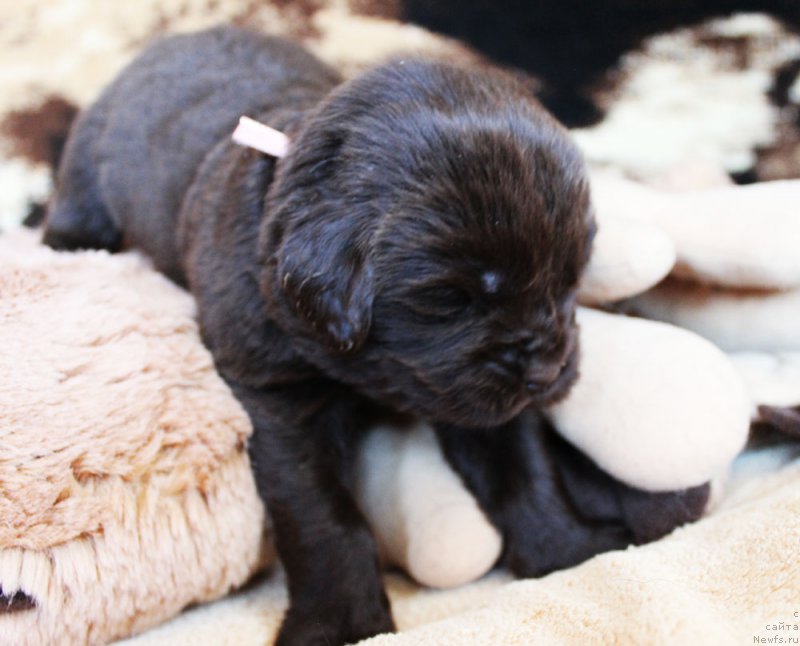 Фотография № 220680