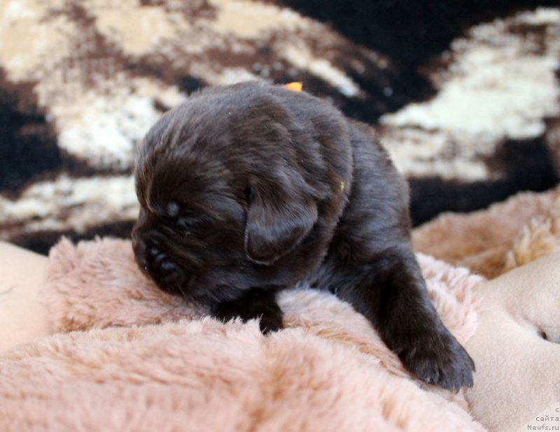 Фотография № 220681