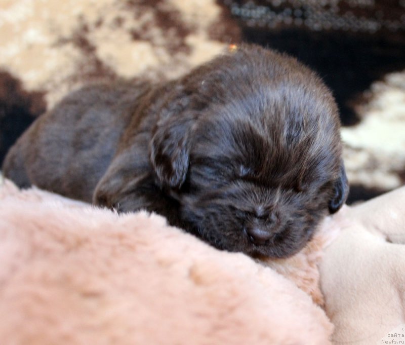 Фотография № 220682