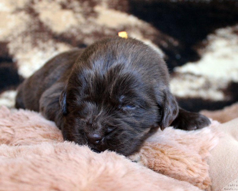 Фотография № 220684