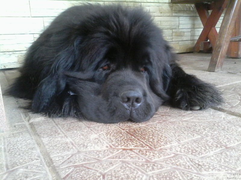 Фотография № 220685