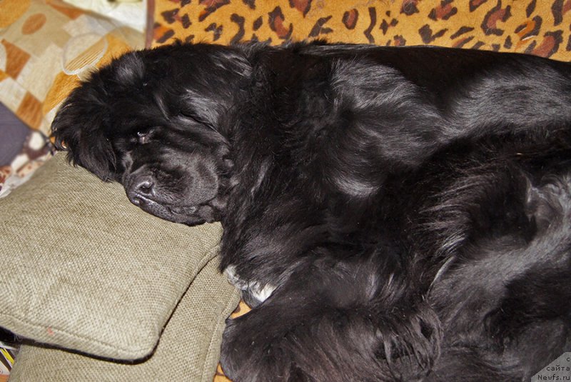 Фотография № 220695