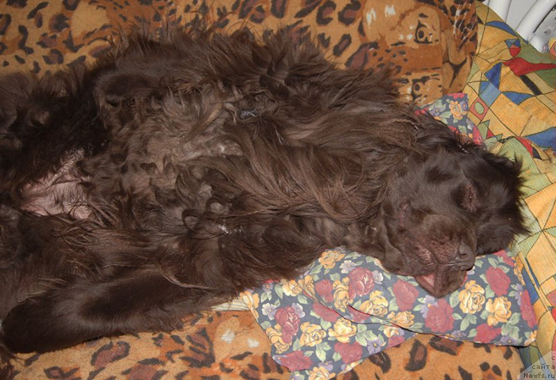 Фотография № 220696