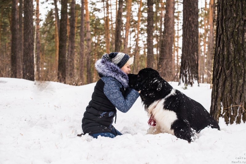 Фотография № 220727