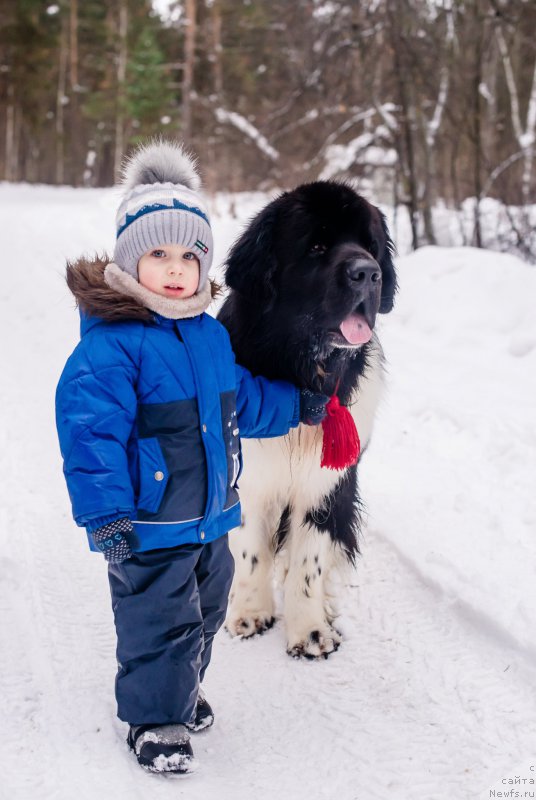 Фотография № 220729