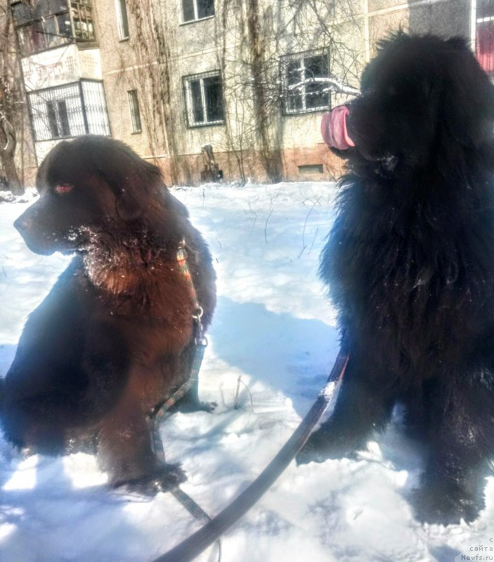 Фотография № 220747