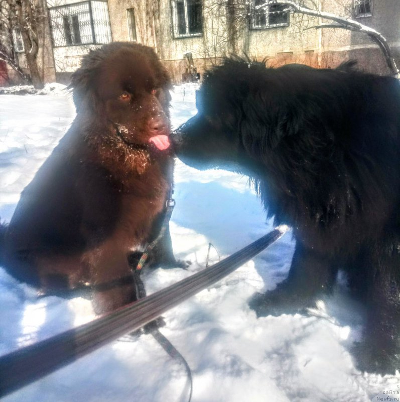 Фотография № 220748