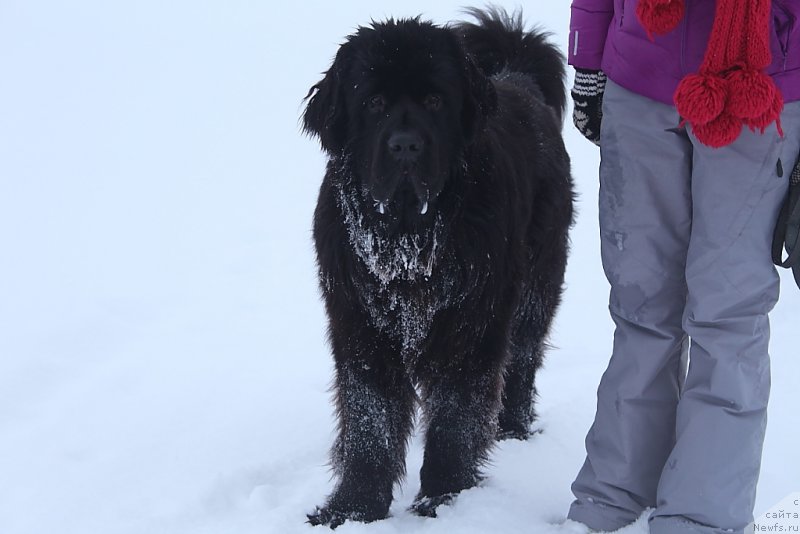 Фотография № 220761