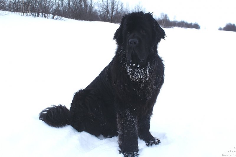 Фотография № 220762