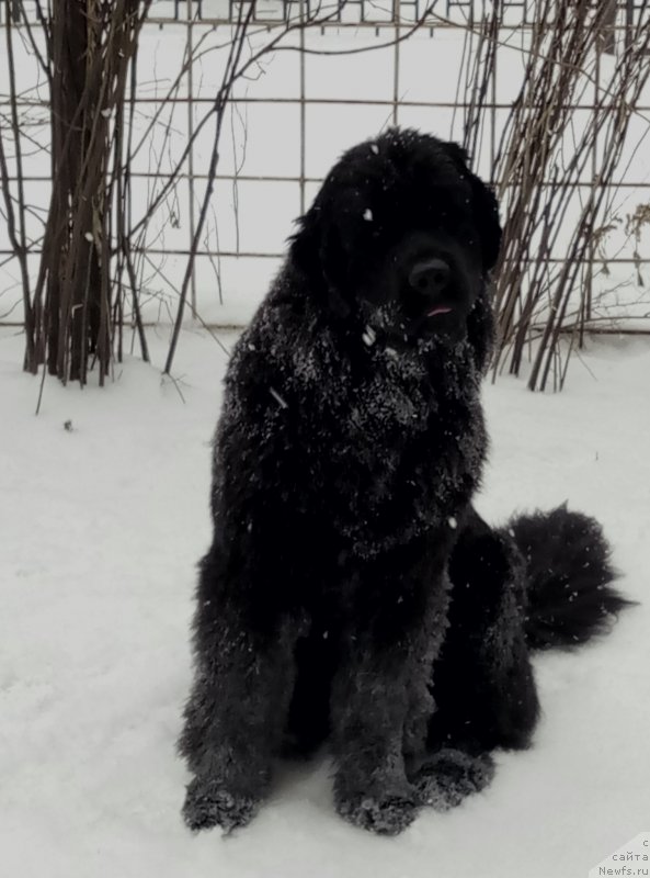 Фотография № 220764