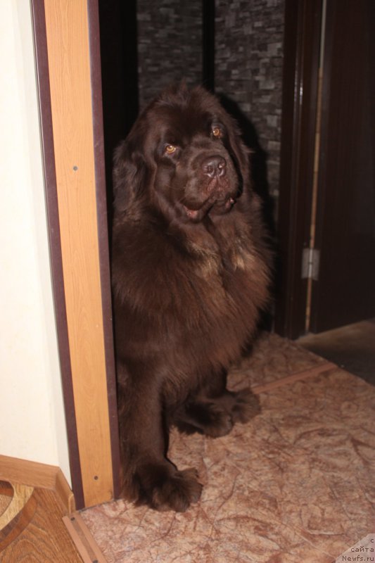 Фотография № 220774