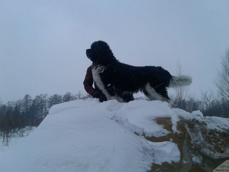 Фотография № 220775