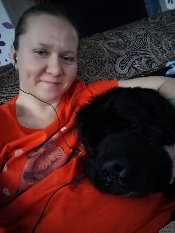 Фотография № 220779