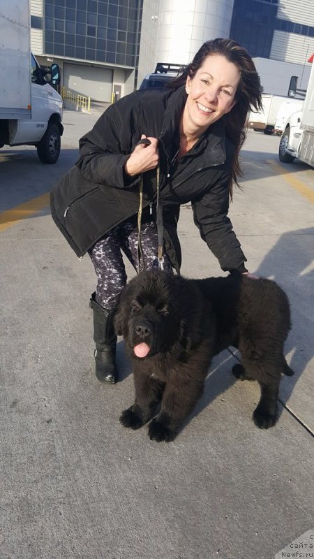 Фотография № 220780