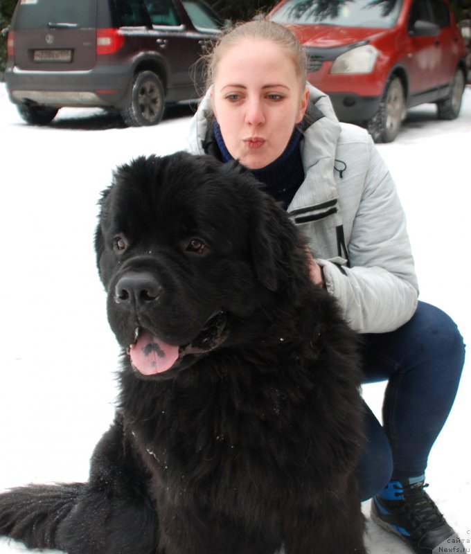 Фотография № 220823