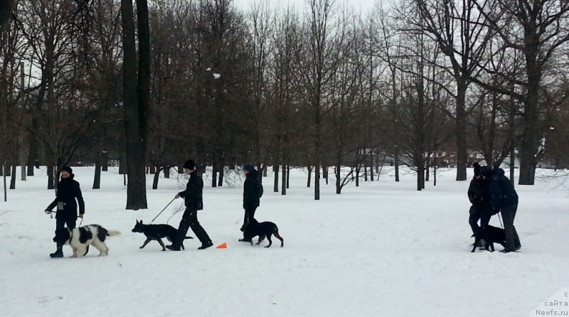 Фотография № 220847