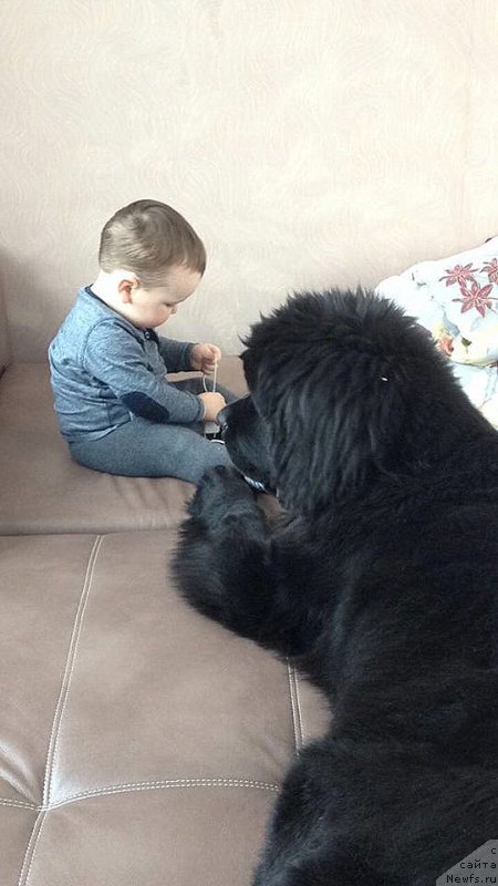 Фотография № 220874