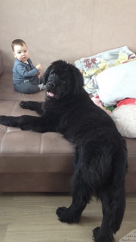 Фотография № 220875