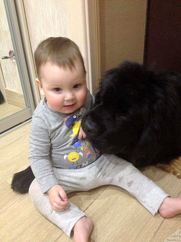 Фотография № 220876