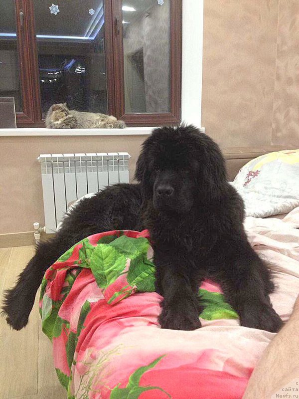 Фотография № 220877